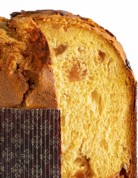 Panettone Albicocca e cioccolato bianco 1 Kg